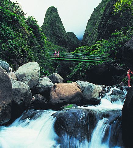 Half Day Historical Valley & City Tour, Maui(Iao Valley/Lahaina)